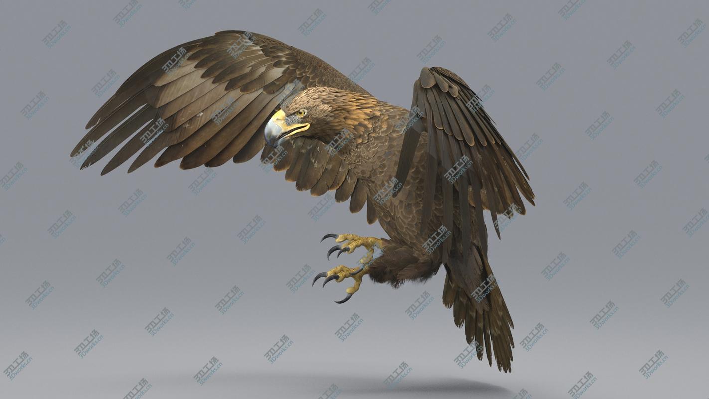 images/goods_img/20210113/Golden Eagle Animated 3D model/3.jpg